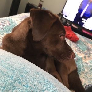 Meet your Posher, Erika